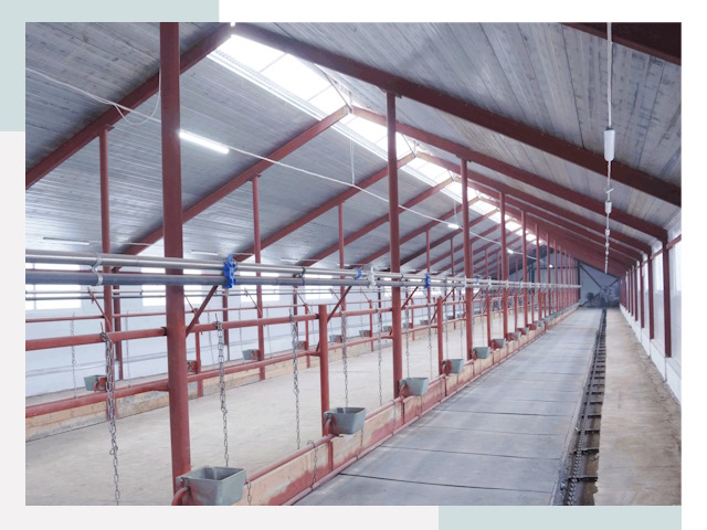 Строительство коровников в Нижнем Тагиле от 625 руб.