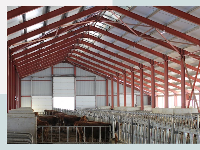 Строительство коровников в Нижнем Тагиле