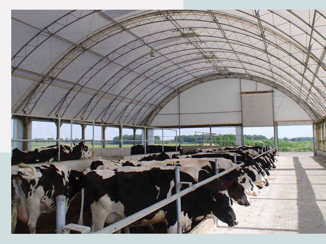 Тентовые коровники в Нижнем Тагиле